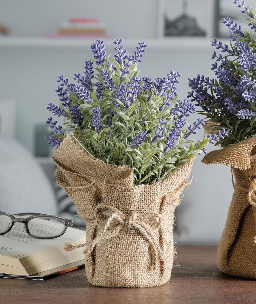 Cvijet Juta+Lavanda Diam10Xh24 60019