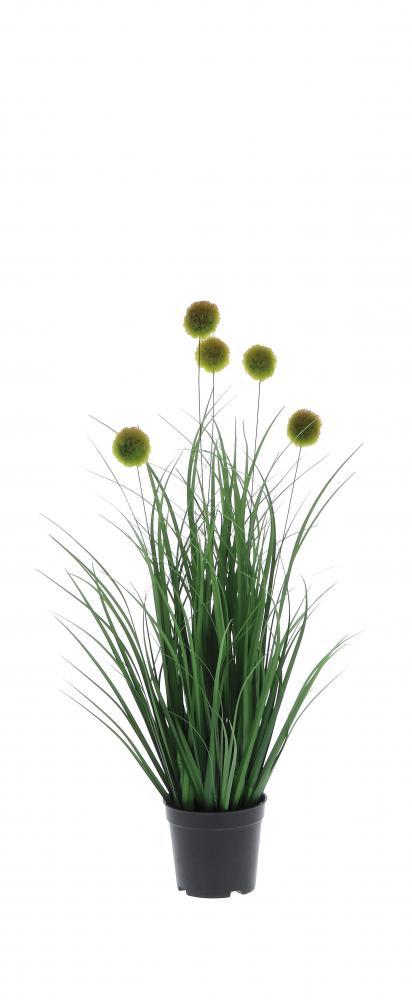 Ukrasni Cvijet U Saksiji  Diam12Xh60 79606