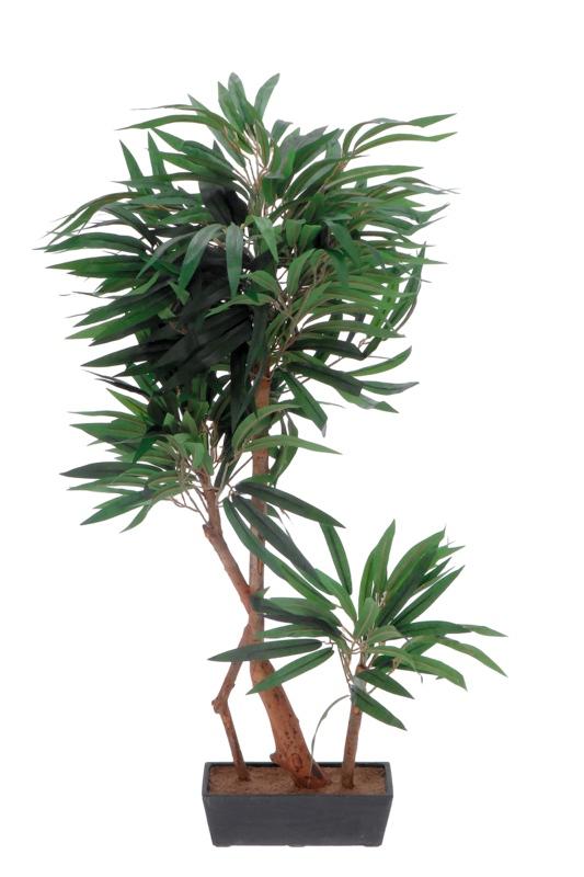 Cvijet Ukrasni U Saksiji  H100 79509