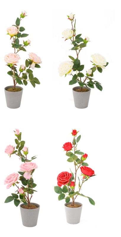 Ruza U Saksijiplastika Diam11Xh555