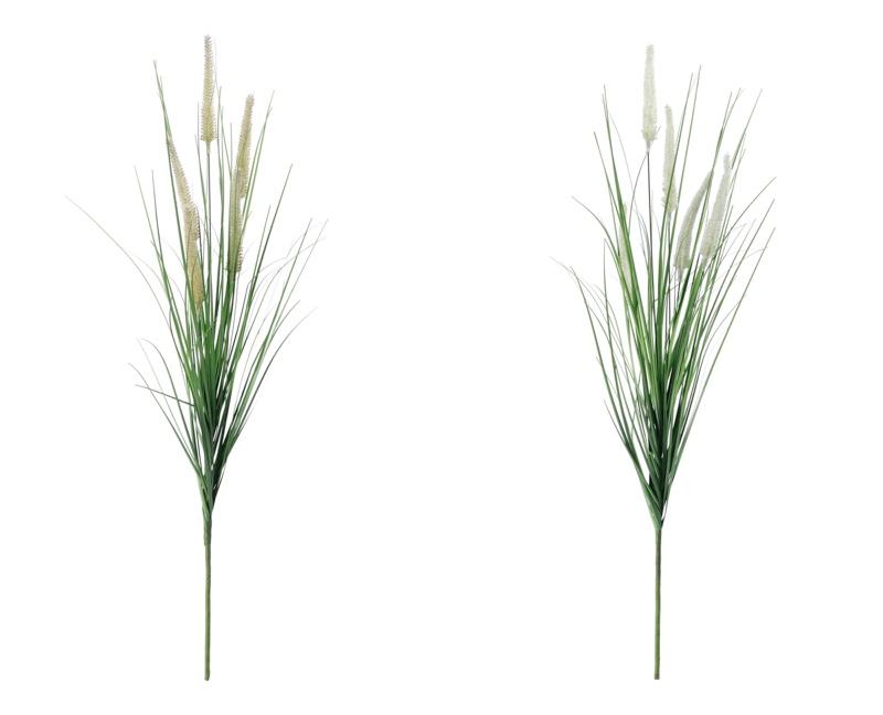 Granapampas Ass2Col Cm76 103795