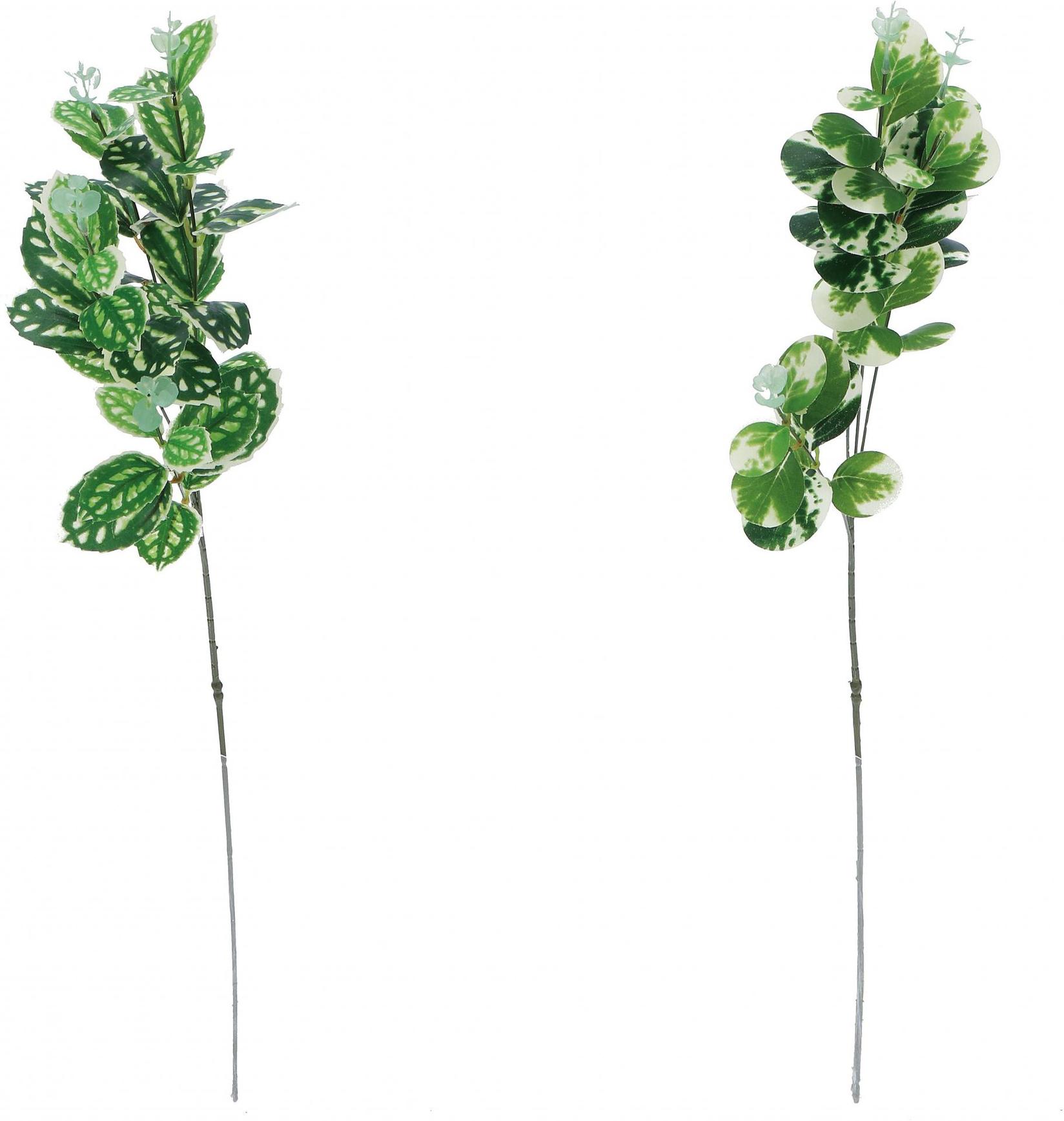 Grana Eukaliptus  Cm70 82492