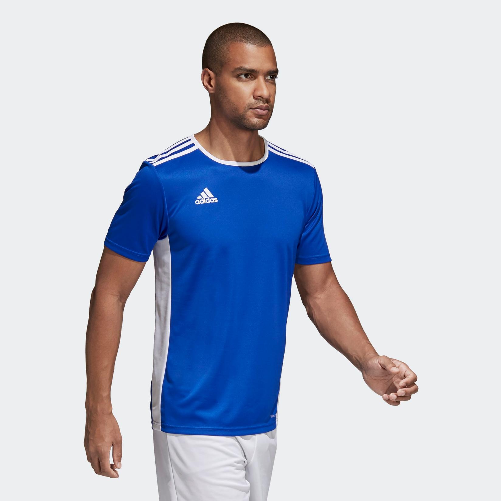 Adidas Dres Entrada 18, Muški, Plava