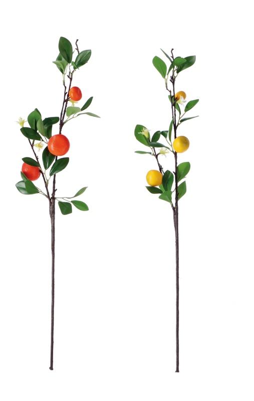 Granaagrumi Ass2Mod Cm69 100462