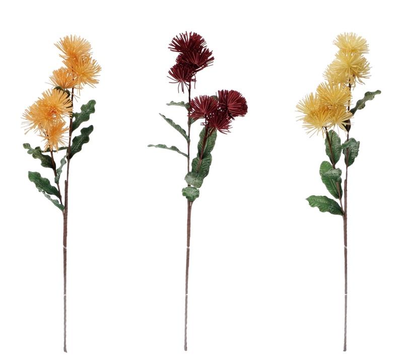 Cvijet Ukrasnihrizantema A3Col Cm101 77126