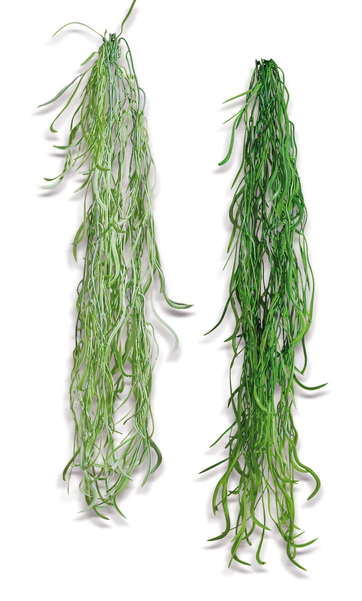 Puzavica Dec A2C Cm92 57733