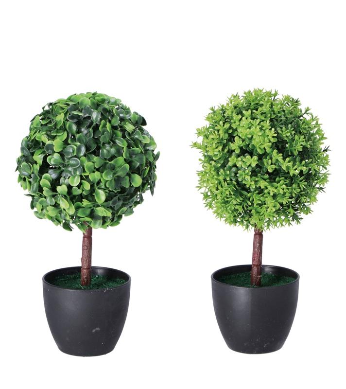 Zelenilo U Saksiji  Ass2Mod D8H23 86328