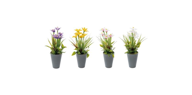 Ukrasni Cvijet U Keramickoj Saksiji Diam9Xh26