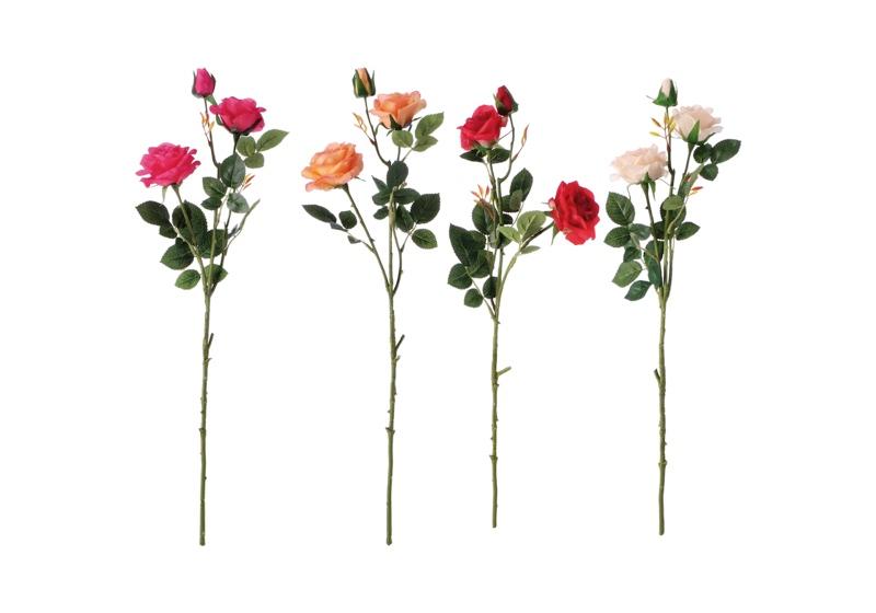 Cvijet Ruza  A4C Cm52 104007