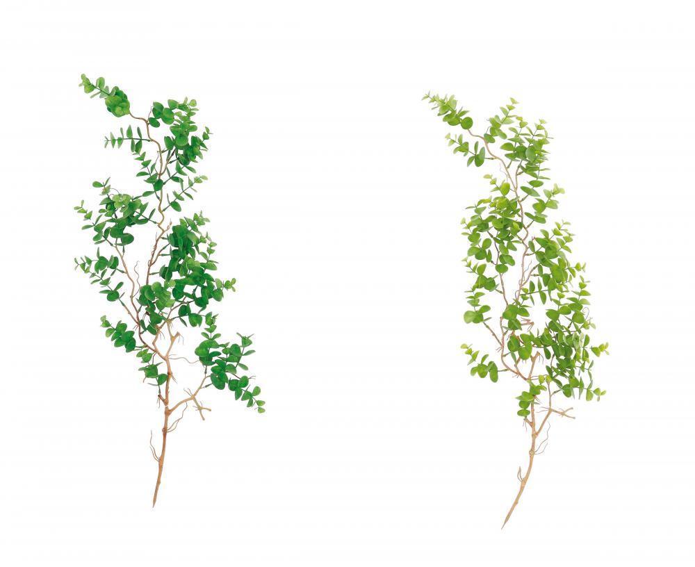 Puzavica A2C Cm92 69220