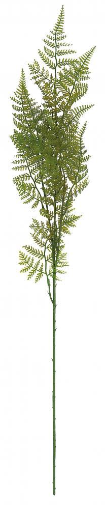 Grana Paprata  Cm82 82489