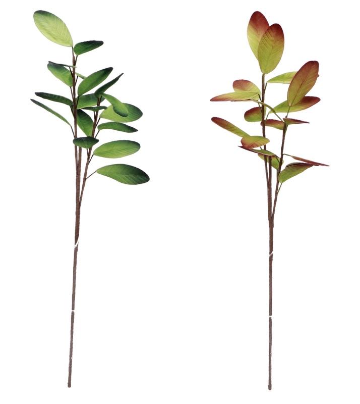 Grana Ukrasnalistovi Ass2Col Cm94 77129