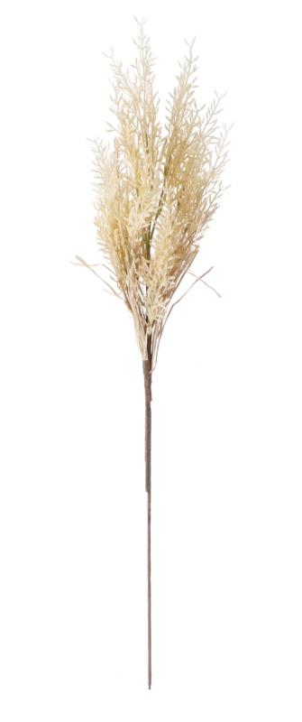 Pampas  Ukrasni Cm95 103791