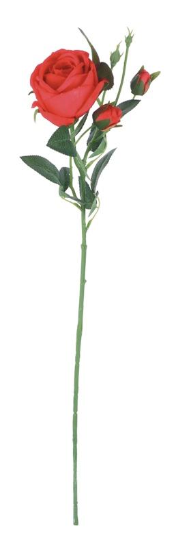 Cvijetukrasniruza Crvena Cm71 80033 Crvena