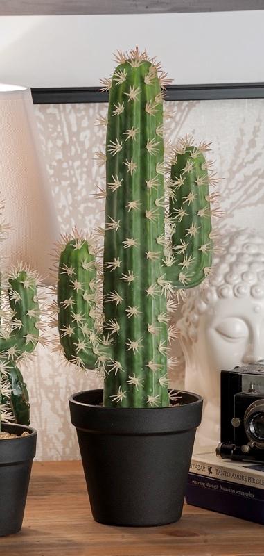 Kaktus U Plastičnoj Saksiji Diam14Xh38