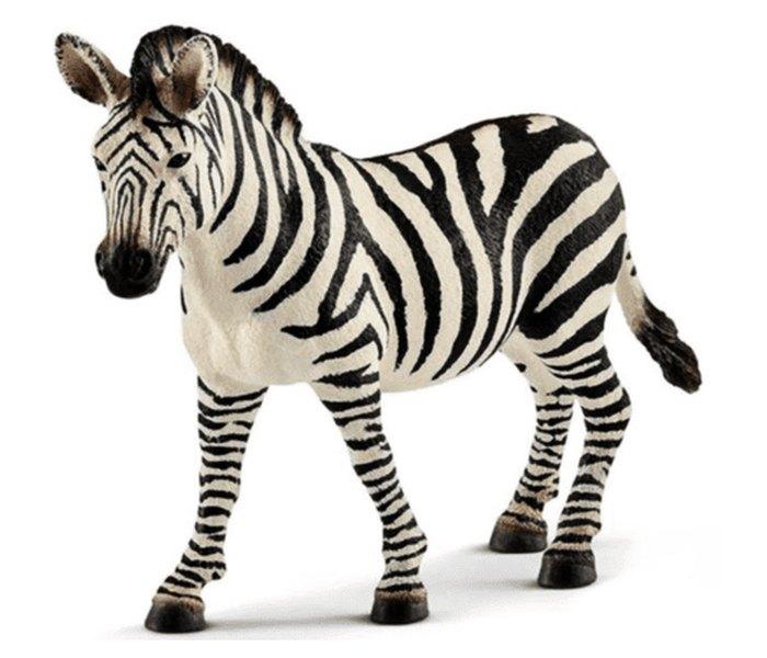 Schleich Zebra, Šarena