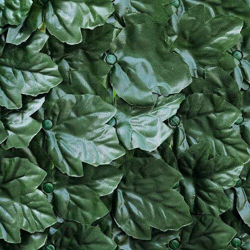 Ograda sa lišćem Extra Hedera 1x3m