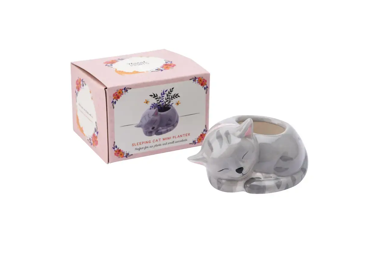 Cgb Saksija Sleeping Mini Cat