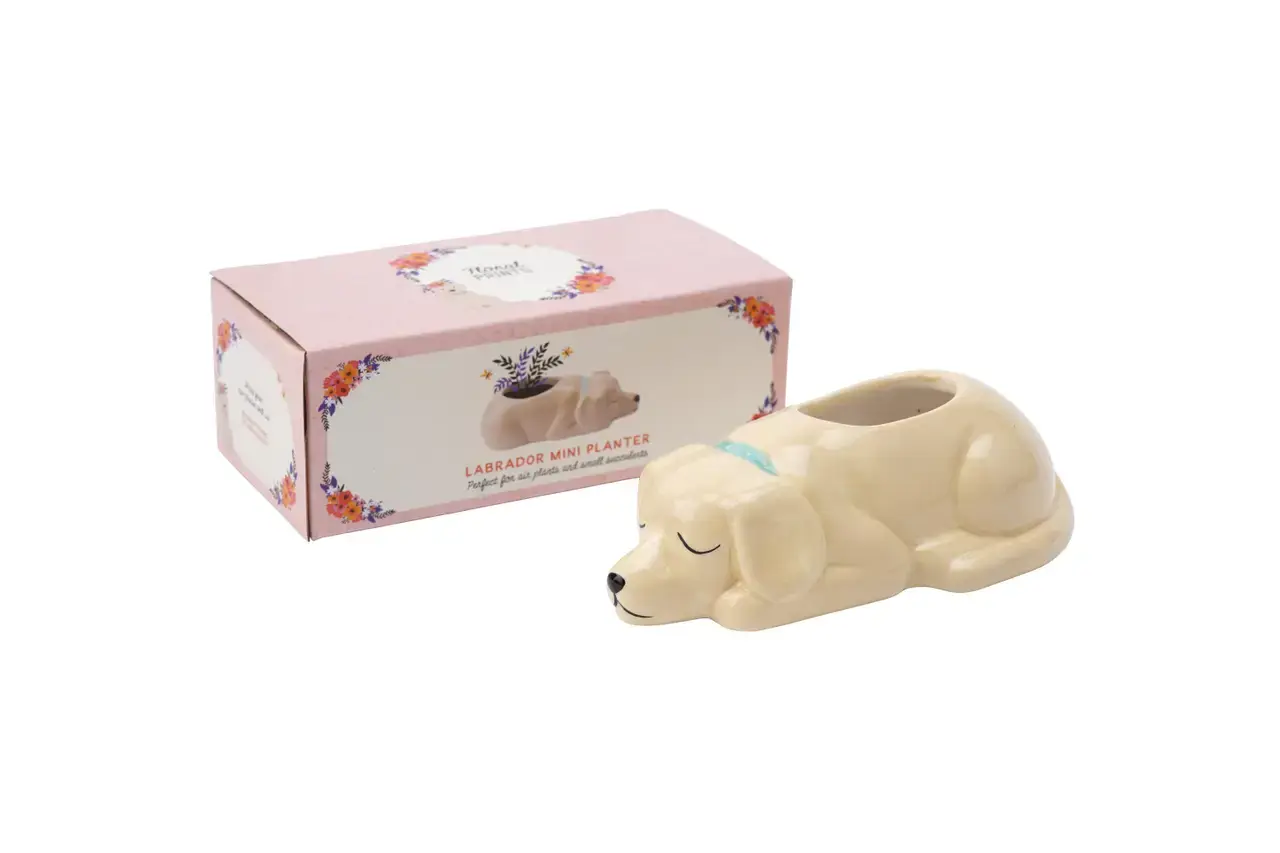 Cgb Saksija Mini Labrador Planter