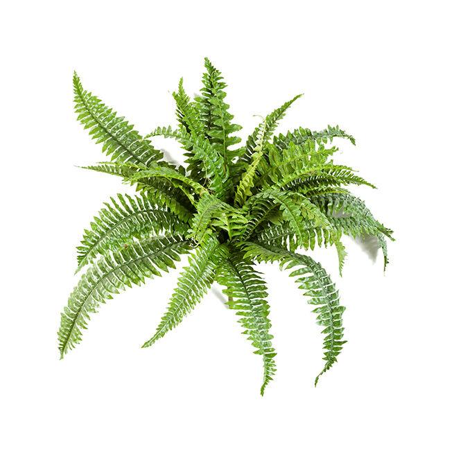 Plastično cvijeće Nephrolepis Boston, 50 cm
