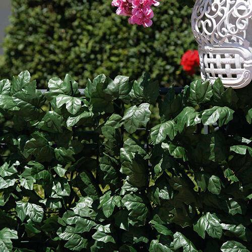 Ograda Hedera, 1x20m