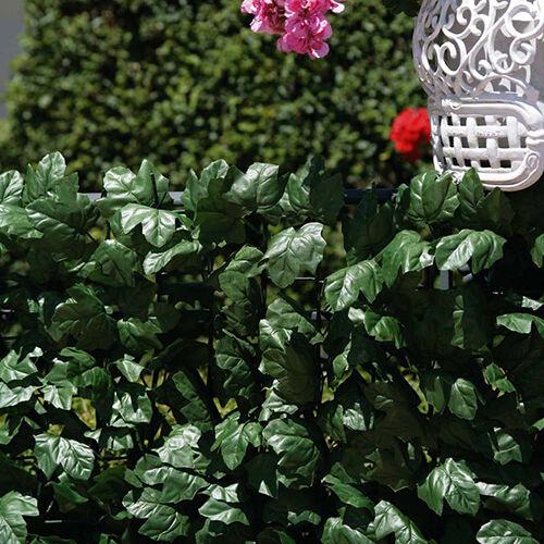 Ograda Hedera 1,5x20m