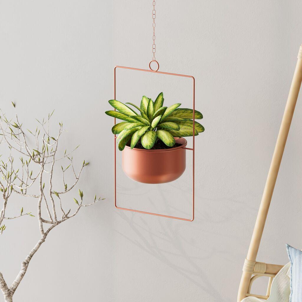 Aberto Design Ukrasna saksija Parapet, 25x40x17 cm, terakota