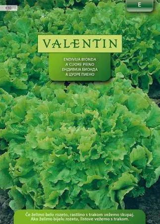Valentin Sjeme Endivija Zuta 430