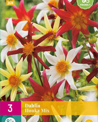 Jub Lukovica Dahlia Honka Mix, 3 komada