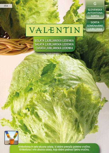 Valentin Sjeme Salata Ljubljanska Ledenka 354