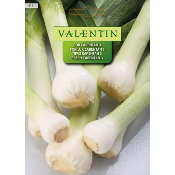 Valentin Sjeme Pori Luk Carentan 3 614