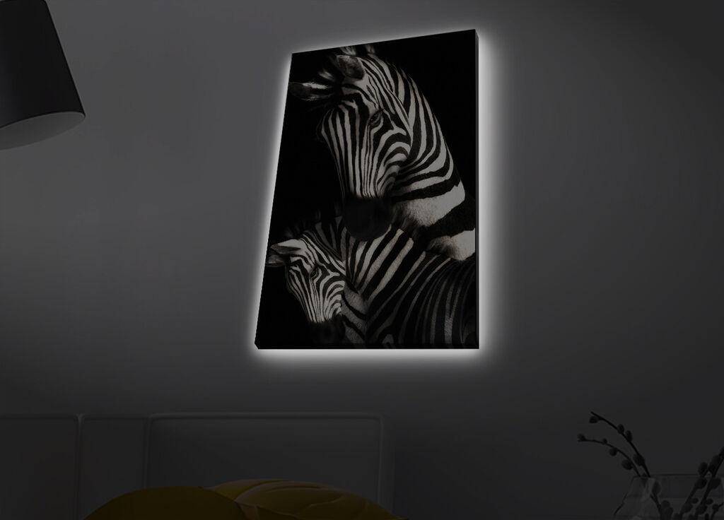 Slika na platnu Wallity sa LED osvetljenjem 45x70cm