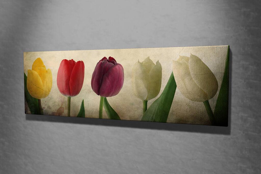 Wallity Slika na platnu 30x80cm
