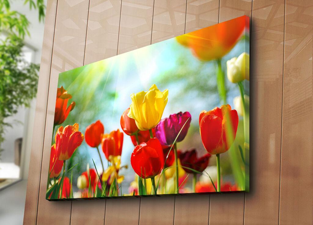 Wallity Slika na platnu 70x100cm