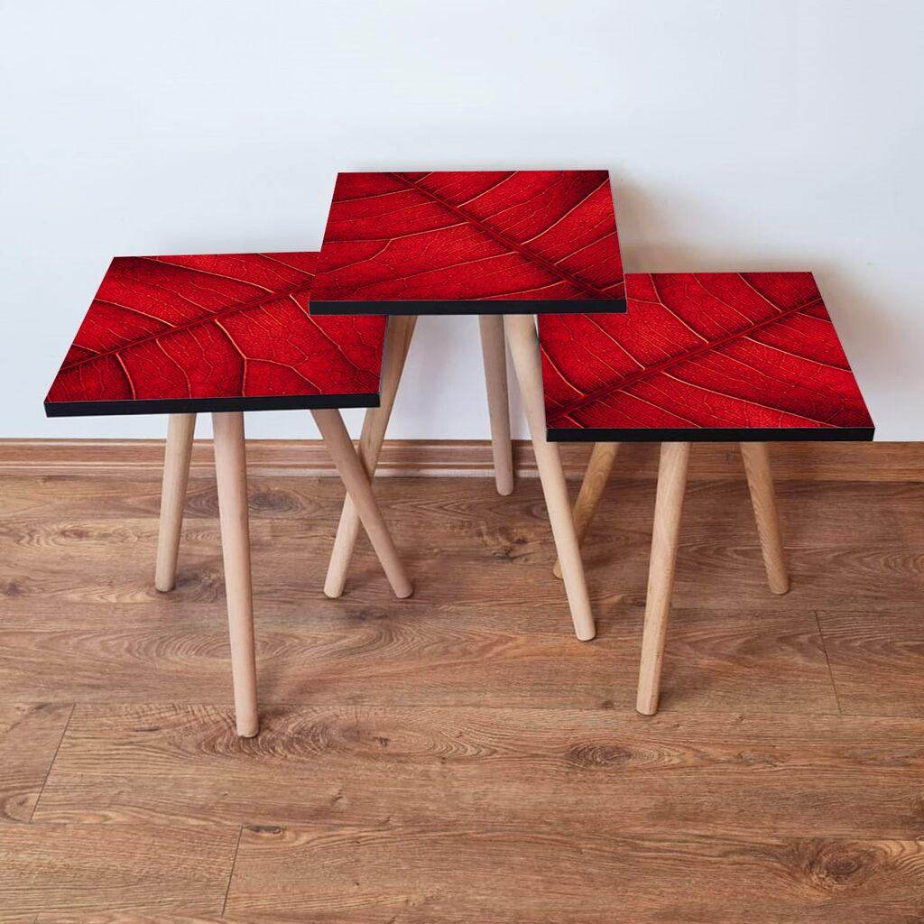 Hanah Home set stolića za kafu 3Shp104, 3 dijela, šareni