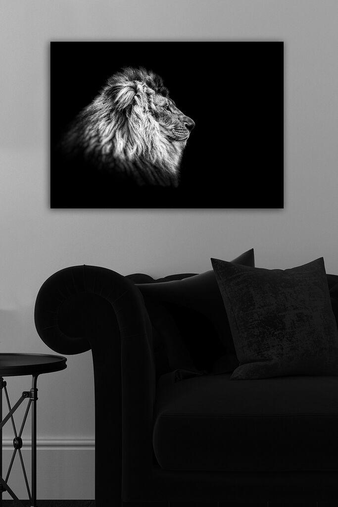 Wallity Slika na platnu 50x70cm