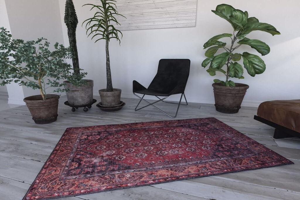 Conceptum Hypnose tepih 75x150cm Šaren