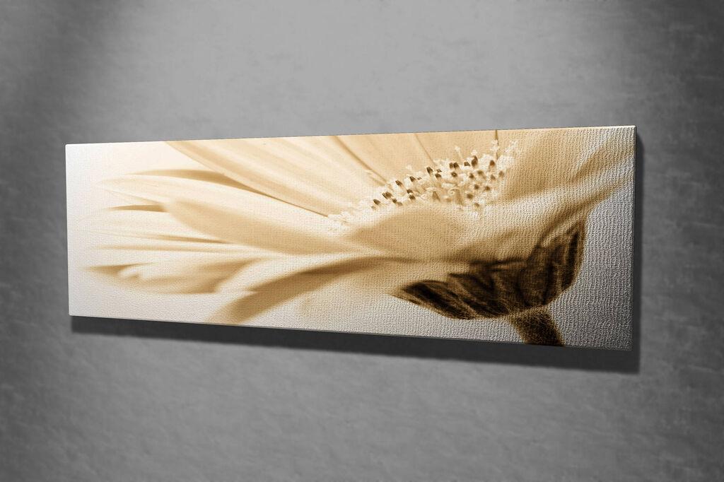 Wallity Slika na platnu 30x80cm