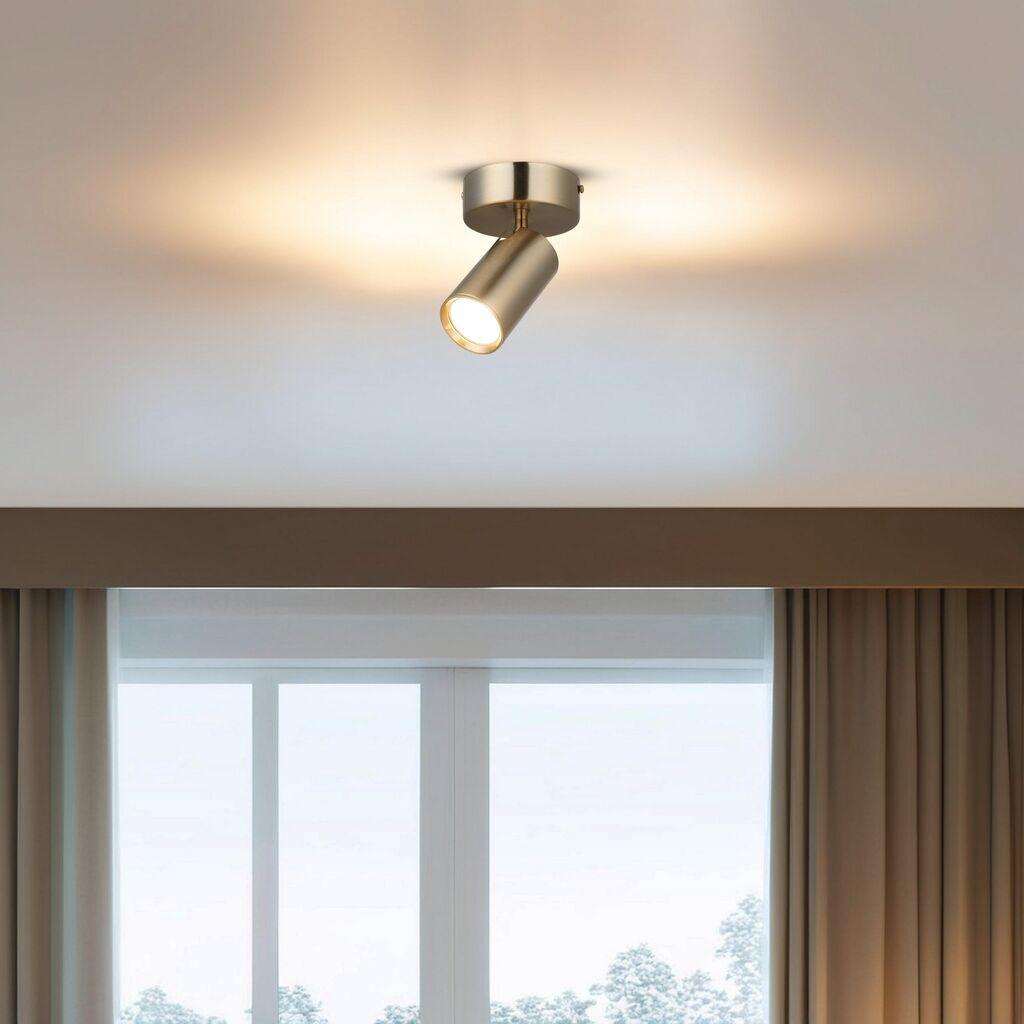 Opviq Luster Spotte-52-11, O6, 10cm, IP20 Zlatne boje