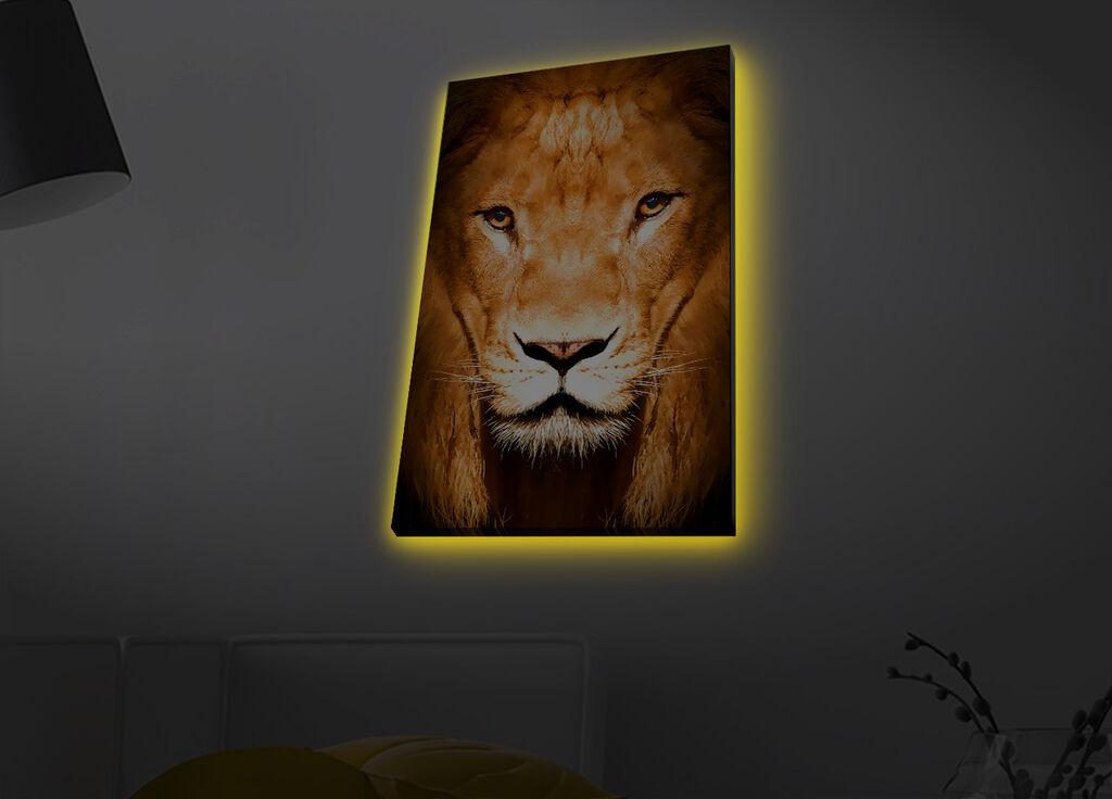 Slika na platnu Wallity sa LED osvetljenjem 45x70cm