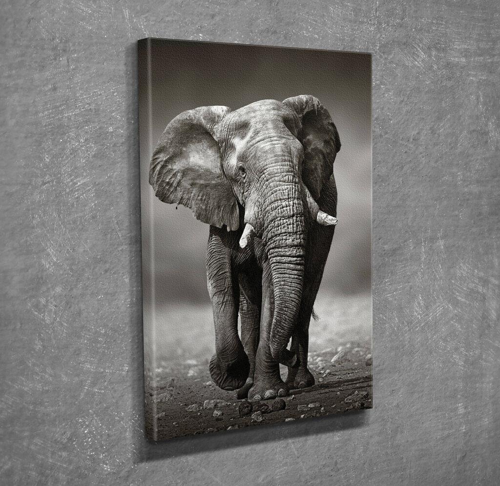 Wallity Slika na platnu 30x40cm