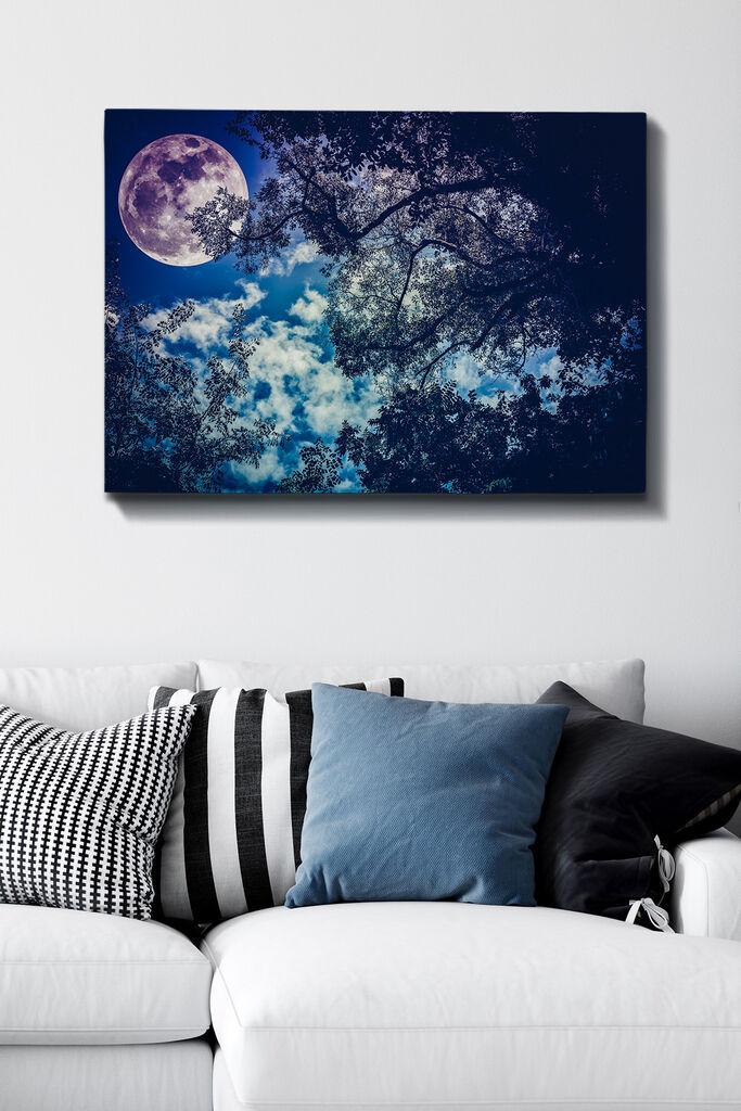 Wallity Slika na platnu 70x100cm