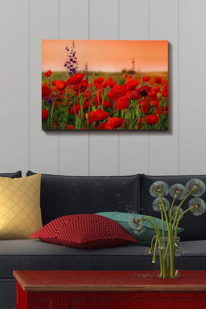 Wallity Slika na platnu 50x70cm