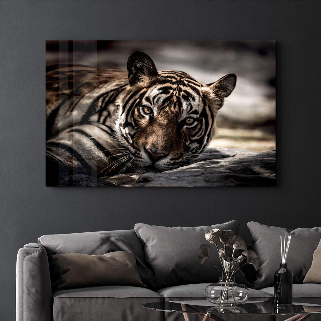 Wallity Slika CAM-1057, 46x72cm