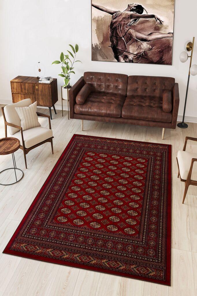 Conceptum Hypnose tepih W1122, 80x120cm, šareni