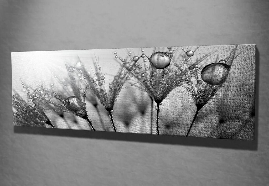 Wallity Slika na platnu 30x80cm