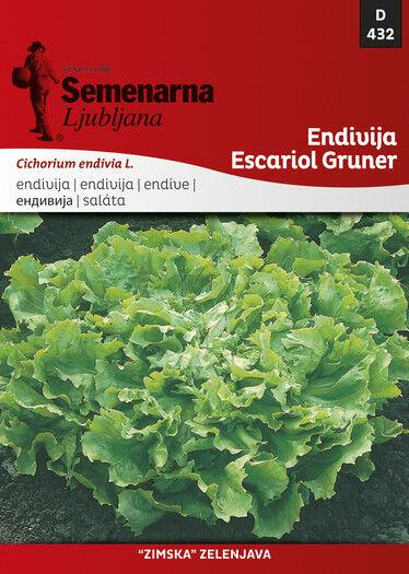 Semenarna Ljubljana Sjeme Endevija Gruner Escariol 432