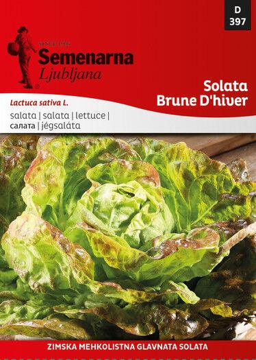 Semenarna Ljubljana Salata Brune Dhiver 397