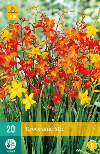 Jub Lukovica Crocosmia Mix 6/7