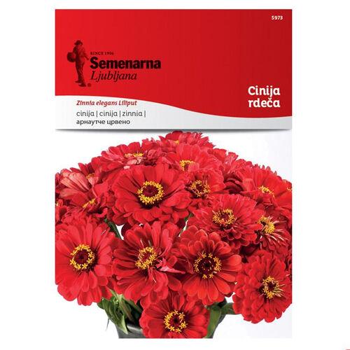 Semenarna Ljubljana Sjeme Zinia 5973, Crvena